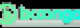 Booongo game provider